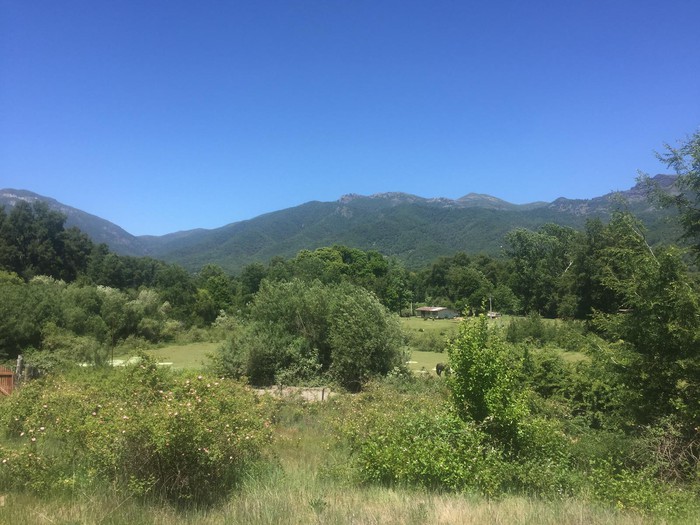 Vegetación del valle de Atacalco y montañas junto al Ecocentro LIF